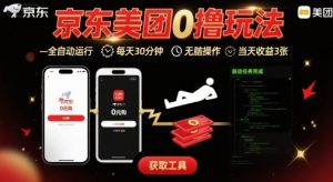 京东美团平台最新0撸玩法,全自动挂G,每天30分钟,无脑操作,当天收益3张【揭秘】-网创项目