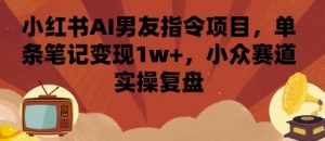 小红书AI男友指令项目，单条笔记变现1w+，小众赛道实操复盘-网创项目
