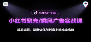 小红书聚光/乘风广告实战课：投放运营、数据优化与抖音本地推全攻略-网创项目