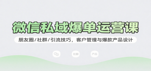 微信私域爆单运营课:朋友圈/社群/引流技巧,客户管理与爆款产品设计-网创项目