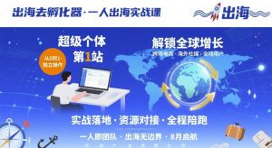 出海去孵化器，一人出海实战课，超级个体第1站，解锁全球增长-网创项目