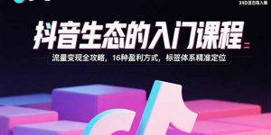 抖音生态的入门课程:流量变现全攻略,16种盈利方式,标签体系精准定位-网创项目