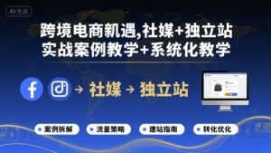 跨境电商新机遇，社媒+独立站，实战案例教学+系统化教学-网创项目