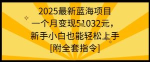 2025最新蓝海项目一个月变现1w+新手小白也能轻松上手【附全套指令】-网创项目