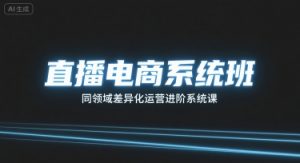 直播电商系统班，同领域差异化运营进阶系统课-网创项目