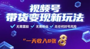 视频号带货变现新玩法，无需露脸，无需粉丝，无任何封号风险，一天收益8张【揭秘】-网创项目