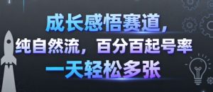 成长感悟赛道，纯自然流，百分百起号率 一天轻松多张-网创项目