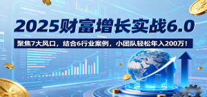 2025财富增长实战6.0，聚焦7大风口，结合6行业案例，小团队轻松年入200万！-网创项目