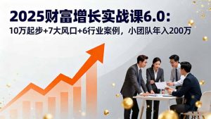 2025财富增长实战课6.0：10万起步+7大风口+6行业案例，小团队年入200万-网创项目