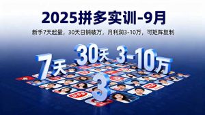 2025拼多多实训-9月：新手7天起量,30天日销破万,月利润3-10万,可矩阵复制-网创项目