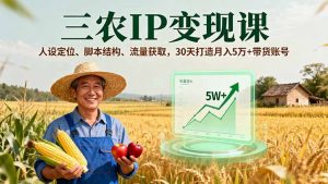 三农IP变现课，人设定位、脚本结构、流量获取，30天打造月入5万+带货账号-网创项目