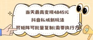 当天最高变现1k+，抖音私域新玩法，可矩阵可批量复制-网创项目