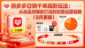 拼多多日销千单高阶玩法：从选品到爆款打造的完整运营链路(9月更新-网创项目