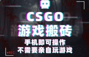 CSGO游戏挂G捡漏,单日扫货5张+,年底小高峰上车可吃肉,手机即可操作,兼职副业创业网创【揭秘】-网创项目