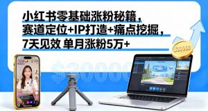 小红书零基础涨粉秘籍，赛道定位+IP打造+痛点挖掘，7天见效 单月涨粉5万+-网创项目