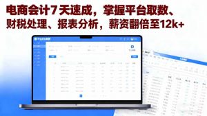 电商会计7天速成，掌握平台取数、财税处理、报表分析，薪资翻倍至12k+-网创项目