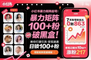 小红书暴力矩阵起号,教你打通引流-变现速通,日锁100+粉,破流量黑盒-网创项目