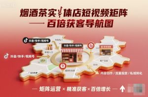 烟酒茶实体店短视频矩阵百倍获客导航图-网创项目