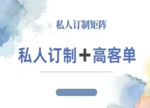 小红书自媒体咨询师IP教程，私人定制+高客单-网创项目