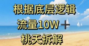 据底层逻辑,流量10W+,以安全知识科普为例-网创项目