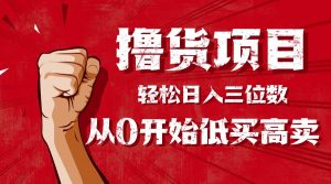 手把手教你撸货,从0开始低买高卖,小白轻松实现日入三位数!!!-网创项目