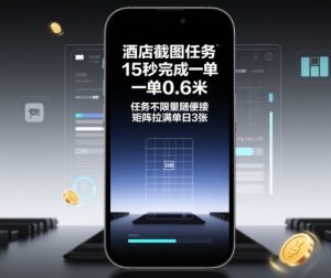酒店截图任务,15秒完成一单,一单0.6米,任务不限量随便接,矩阵拉满单日3张【揭秘】-网创项目