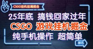 25年底搞钱回家过年,CSGO游戏挂机掘金,纯手机操作超简单-网创项目