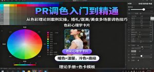 PR调色入门到精通:从色彩理论到案例实操,婚礼/医美/美食多场景调色技巧-网创项目
