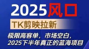 2025风口TK剪映capcut拉新项目，极限高客单，市场空白，2025下半年真正的蓝海项目-网创项目