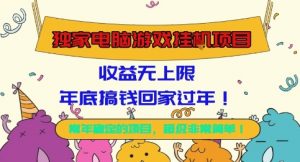 独家电脑游戏挂G项目,常年稳定,收益无上限,年底搞钱回家过年【揭秘】-网创项目