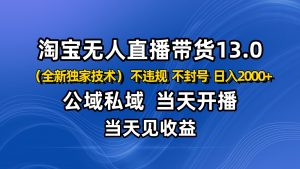 淘宝无人直播13.0,公域私域技术,不封号,不违规 布局下半年旺季赛道,日入2000+-网创项目