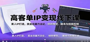 高客单IP变现线下大课:素人IP打造,美业流量方法论,销转模型,脚本与拍摄剪辑-网创项目