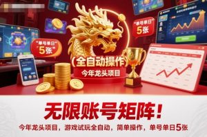 无限账号矩阵!今年龙头项目,游戏试玩全自动,简单操作,单号单日5张【揭秘】-网创项目