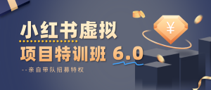 小红书虚拟项目特训班6.0 ,养号/选品/自动发货/爆款笔记(含40节视频课)-网创项目