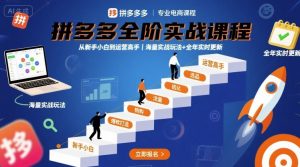 拼多多全阶实战课程,从新手小白到运营高手,海量实战玩法+全年实时更新【2025年10月更新】-网创项目