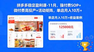 拼多多稳定盈利课-11月,强付费SOP+微付费高投产+活动矩阵,单店月入10万+-网创项目