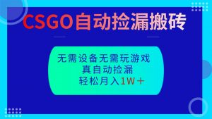 CSGO自动捡漏搬砖,当天操作当天见结果,无需了解游戏,包教包会包落地-网创项目
