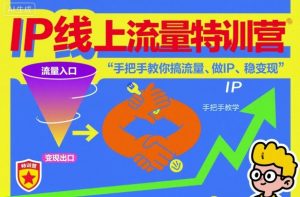IP线上流量特训营，手把手教你搞流量、做IP、稳变现-网创项目