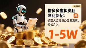 拼多多虚拟类目盈利新招：机器人全程包办回复发货，轻松月入 1-5W-网创项目