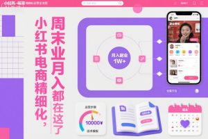 小红书电商精细化运营全流程,周末副业月入1W+,全套方法都在这了-网创项目