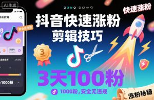 抖音快速涨粉剪辑技巧，3天1000粉，安全无违规-网创项目
