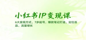 小红书IP变现课：6大变现方式，7步起号，爆款笔记打造，定位选品，流量增长-网创项目