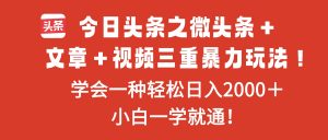今日头条之微头条+文章+视频三重暴力玩法,学会一种轻松日入2000+,…-网创项目