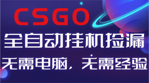 【副业好项目】全球火爆游戏CSGO自动捡漏,新手小白日入500+-网创项目