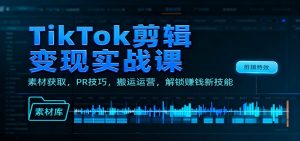TikTok剪辑变现实战课:素材获取,PR技巧,搬运运营,解锁赚钱新技能-网创项目