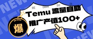 专注于Temu商家提供精准曝光浏览量,助力店铺排名提升和转化,单机日收入80-130【揭秘】-网创项目