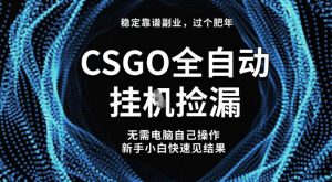 【稳定副业】全球最热门游戏CSGO全自动捡漏，最新玩法，新手小白日入5张+【揭秘】-网创项目
