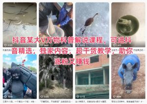 抖音某大V万物科普解说课程,可进抖音精选,独家内容,超干货教学,助你涨粉又賺钱-网创项目