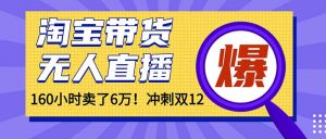 年前风口!淘宝带货,无人直播160小时卖了6万!-网创项目