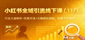 小红书全域引流线下课(11月):行业大盘解析+实操方法+大咖成长经验,全程干货落地-网创项目